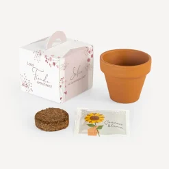 Gastgeschenk Anzuchtset Box "Trockenblumen Blush"