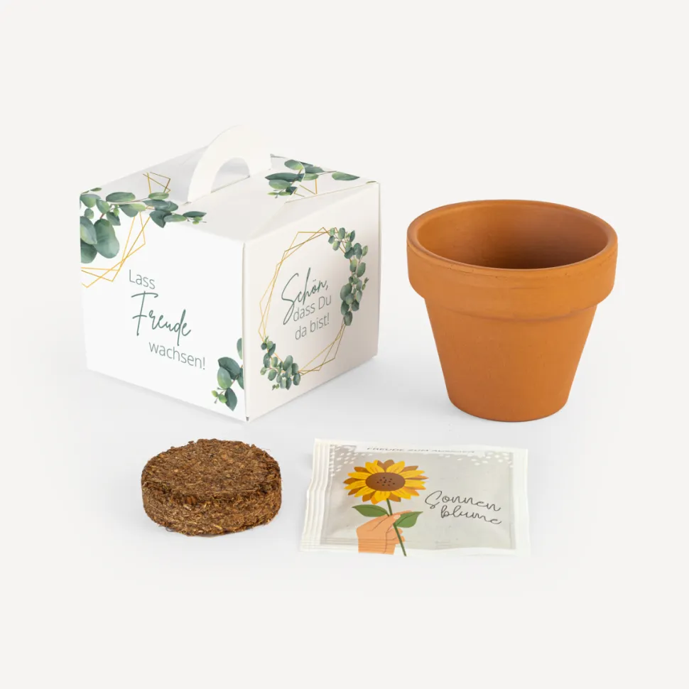 Gastgeschenk Anzuchtset Box "Eukalyptus Geometrie"