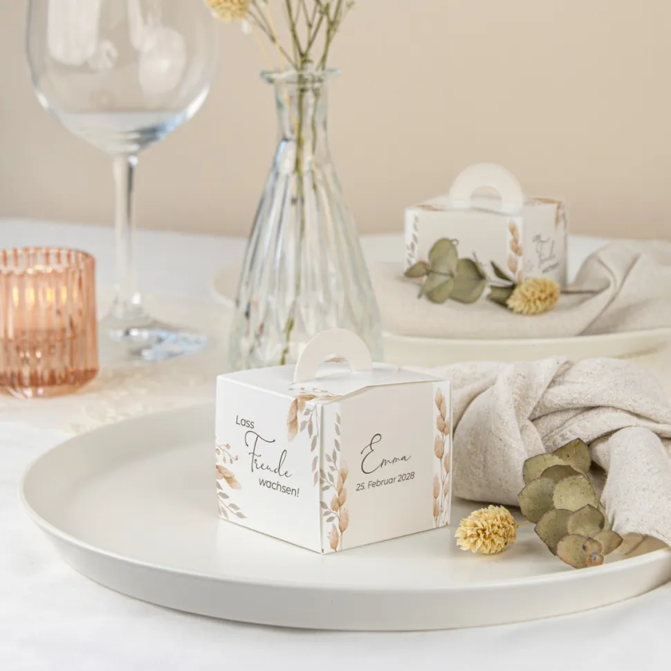 Gastgeschenk Anzuchtset Box "Trockengras"