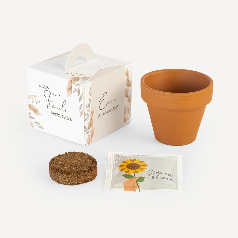 Gastgeschenk Anzuchtset Box "Trockengras"