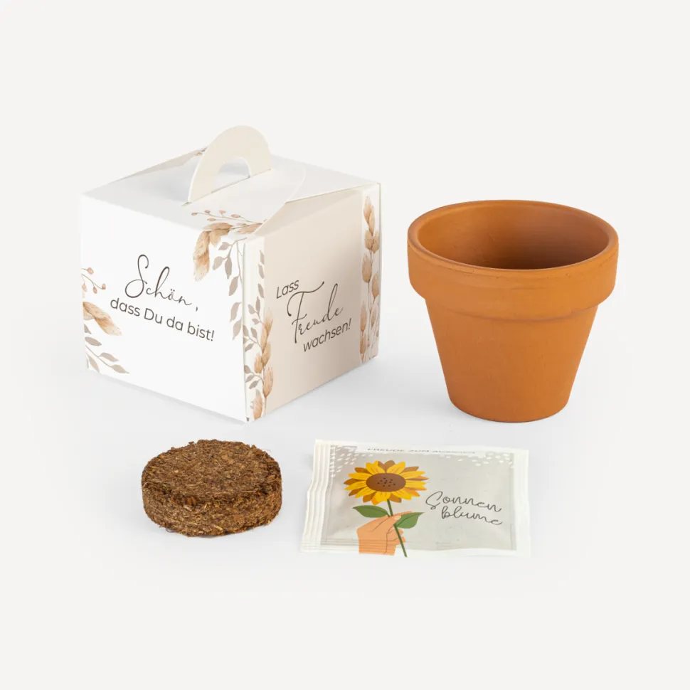 Gastgeschenk Anzuchtset Box "Trockengras"