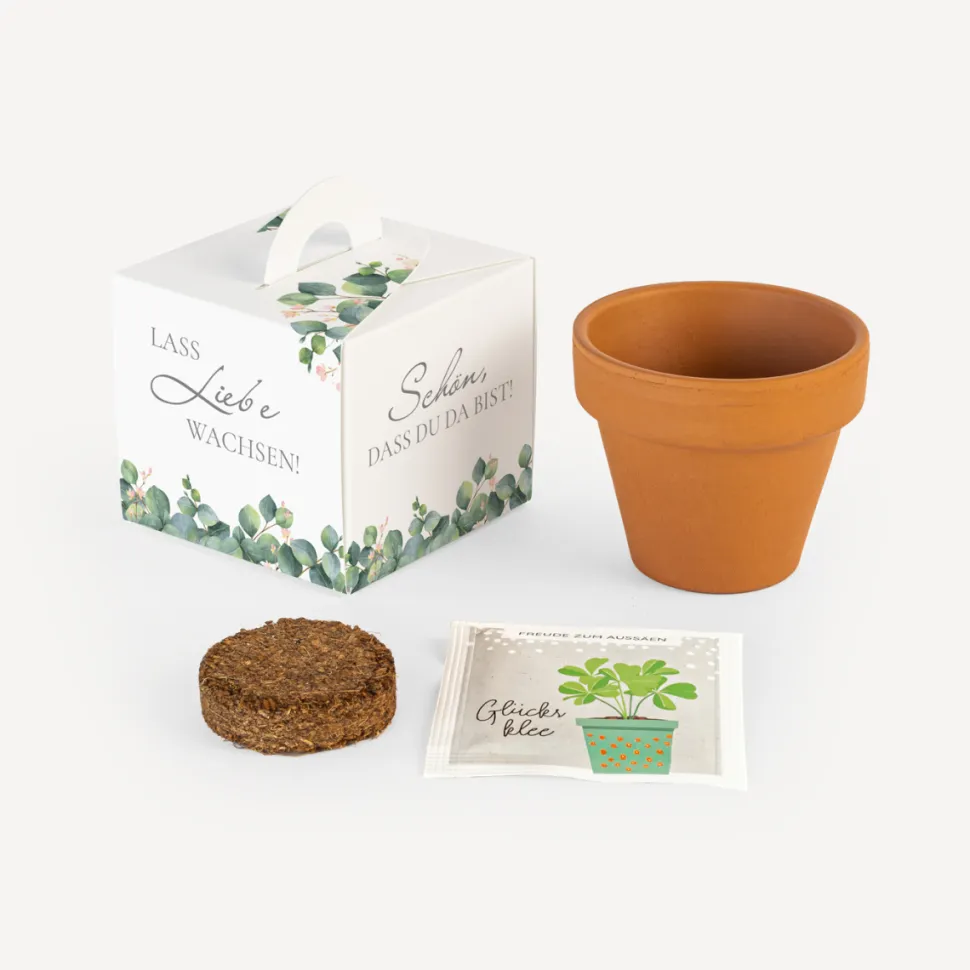 Gastgeschenk Anzuchtset Box "Eukalyptus Ranken"