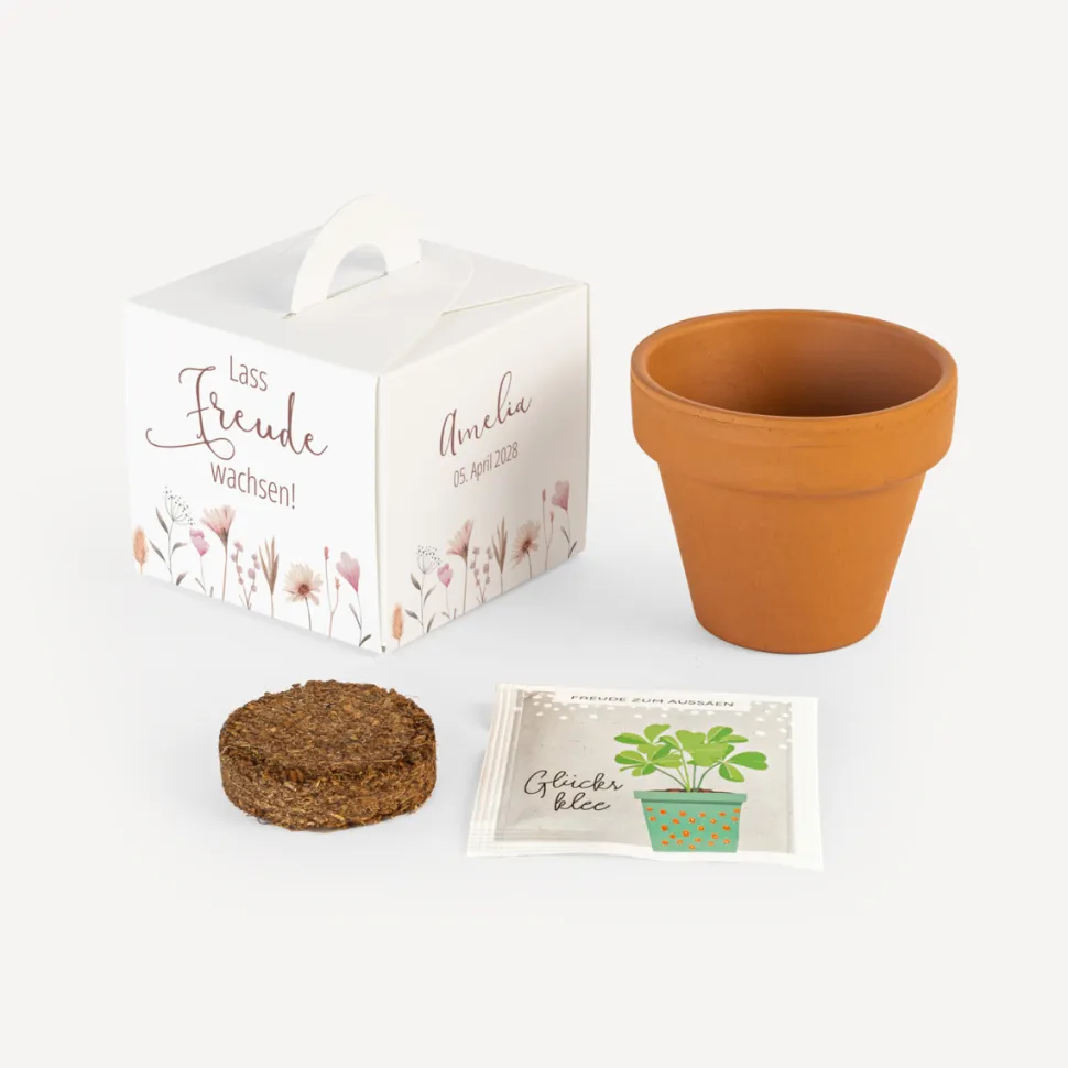 Gastgeschenk Anzuchtset Box "Wild Flowers"