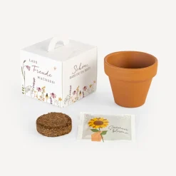 Gastgeschenk Anzuchtset Box "Wildromantische Blüten"