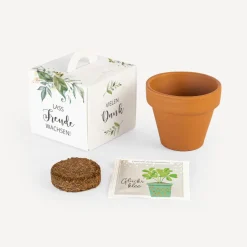 Gastgeschenk Anzuchtset Box 