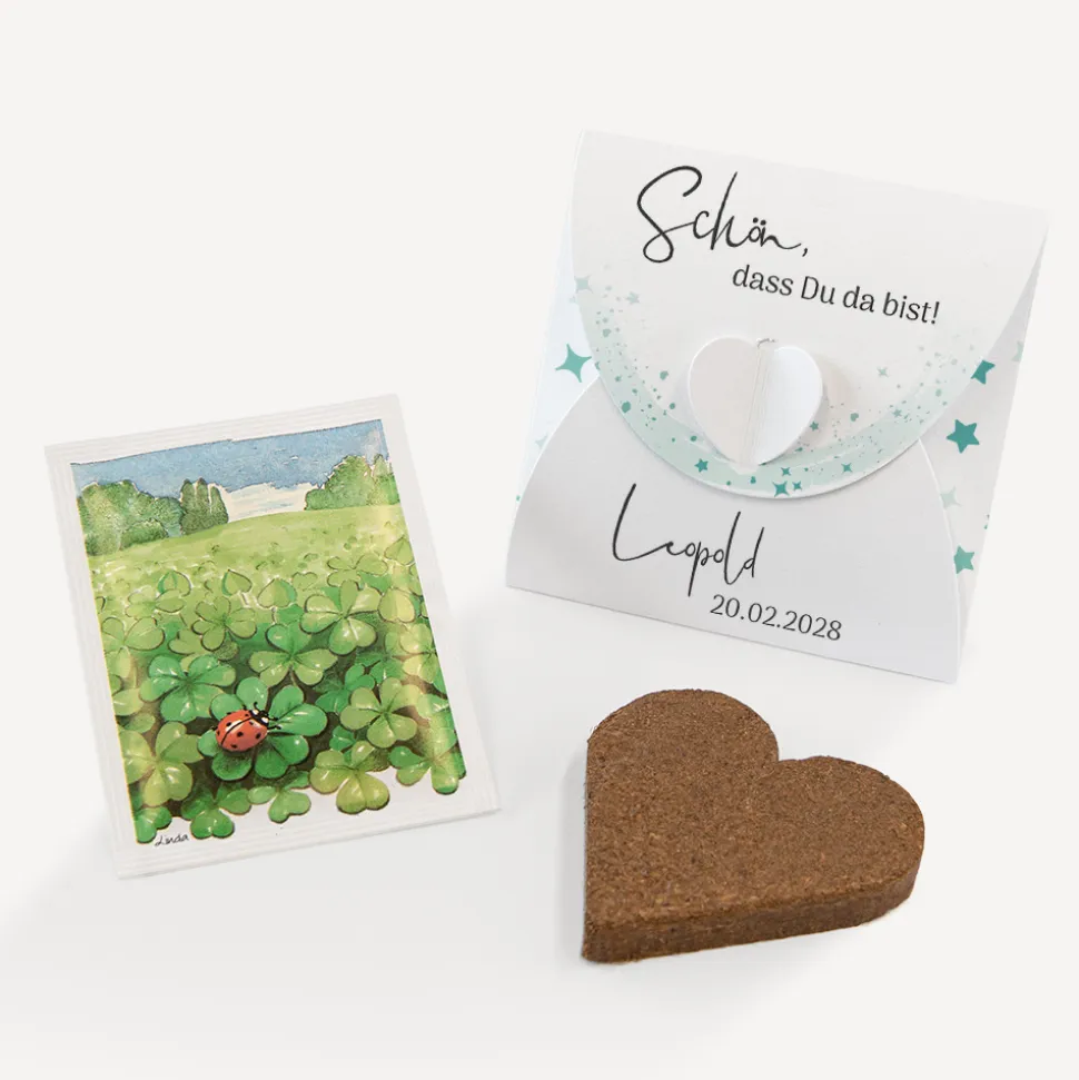Gastgeschenk Anzuchtset Herz "Sterne"