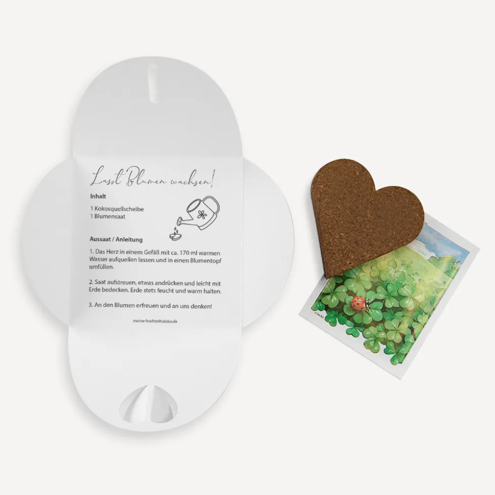 Gastgeschenk Anzuchtset Herz Junge "Liebe Glaube Weisheit"