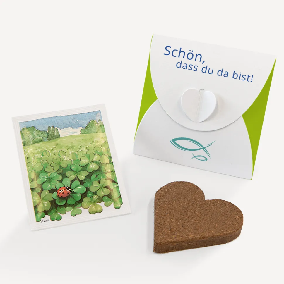 Gastgeschenk Anzuchtset Herz Junge "Liebe Glaube Weisheit"