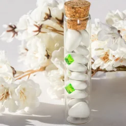 Gastgeschenk Glasröhrchen mit Korken