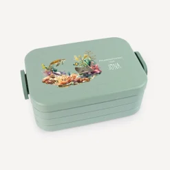 Mepal Bento Lunchbox midi Brotdose Kinder