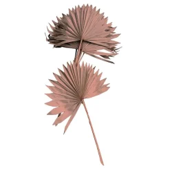 Palmblätter getrocknet rosé 10 Stück