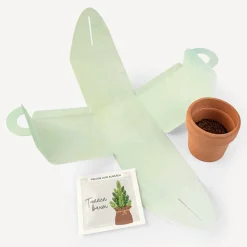 Weihnachtsbaum Anzuchtset mit Geschenkbox 